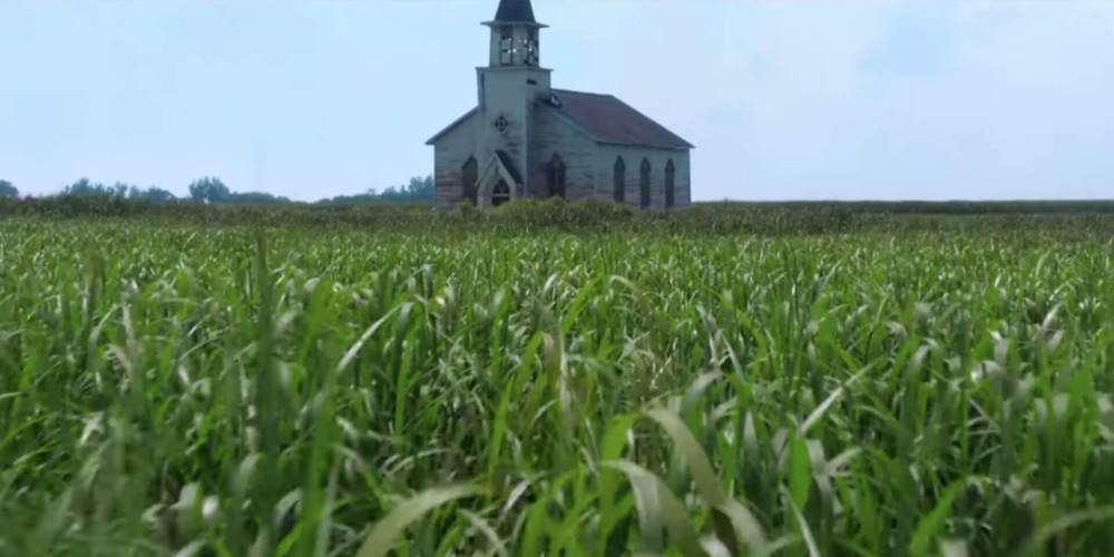 in_the_tall_grass_netflix_review_fantastic_fest